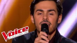 The Voice 2013 | Gérôme Gallo - Human Nature (Michael Jackson) | Blind Audition