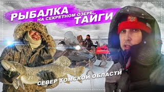 Клев рыбы в томске