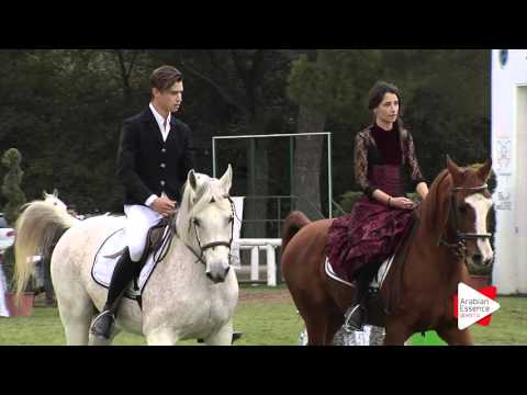 Highlights Arezzo 2015