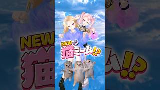 NEW猫ミーム⁉️ #HIMEHINA #ヒメヒナ