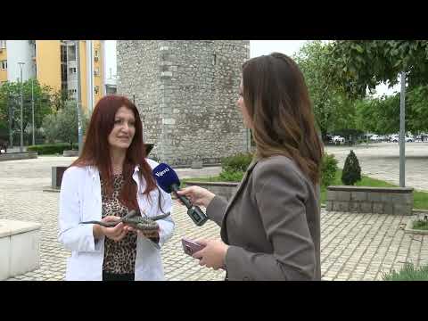 BOJE JUTRA - PROLJEĆE, A SA NJIM ZMIJE I KRPELJI | Vijesti online