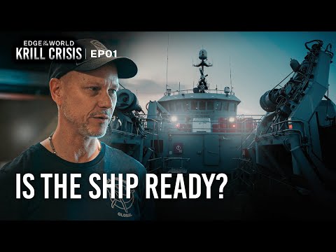 Sea Shepherd and Sea Shepherd