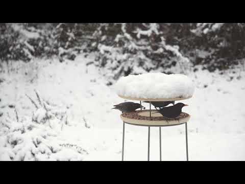 Denk Futterhaus CeraNatur im Winter