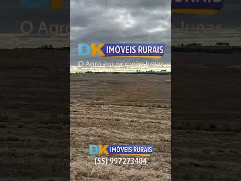 Fazendas à Venda no RS | Oportunidades em Ijuí, Bagé, Rosário do Sul, Cacequi e Alegrete