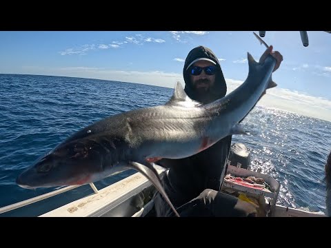 We Caught so many Fish 50km Offshore!!