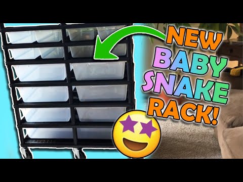 download lagu mp3 mp4 Vision Racks, download lagu Vision Racks gratis, unduh video klip Vision Racks