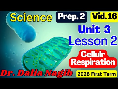 ساينس تانيه أعدادي الترم الاول المنهج الجديد 𝑺𝒄𝒊𝒆𝒏𝒄𝒆 𝑷𝒓𝒆𝒑 𝟐 𝑼𝒏𝒊𝒕 𝟑 𝒍𝒆𝒔𝒔𝒐𝐧 2 Cellulr Respiration