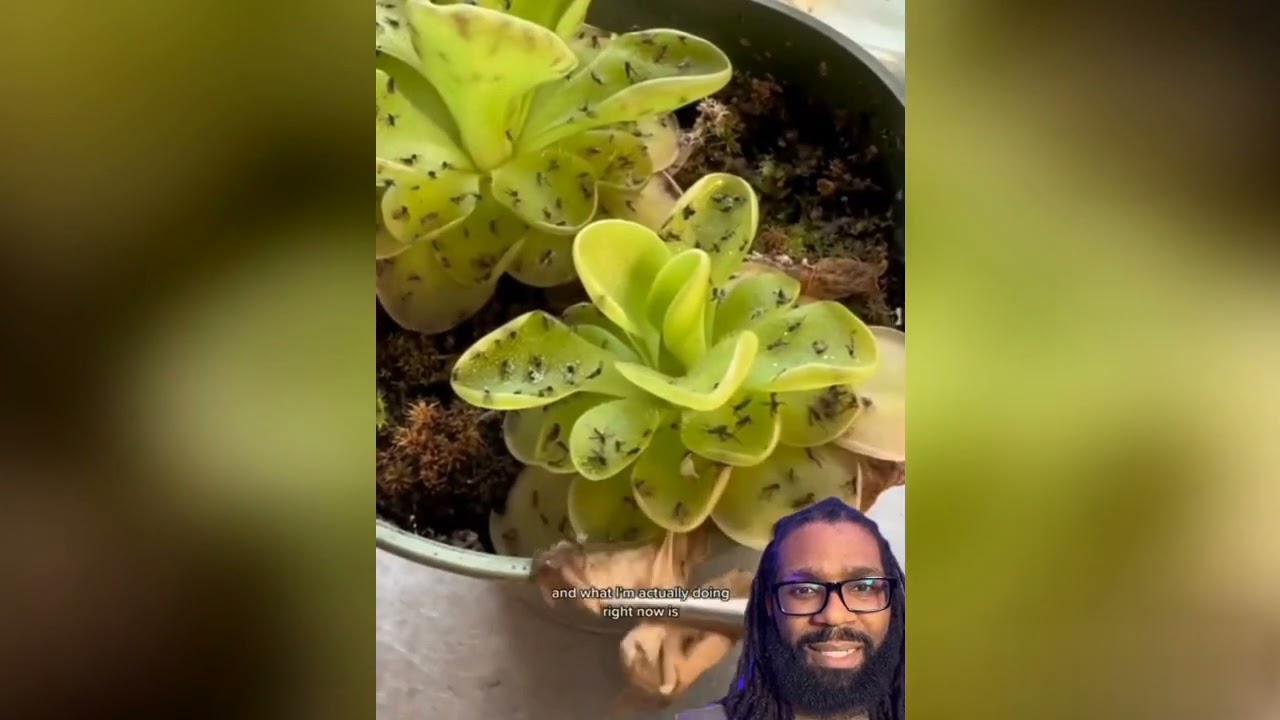 Carnivorous Plants: The Savage Garden