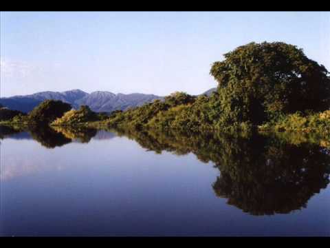 A Garça Pantaneira video