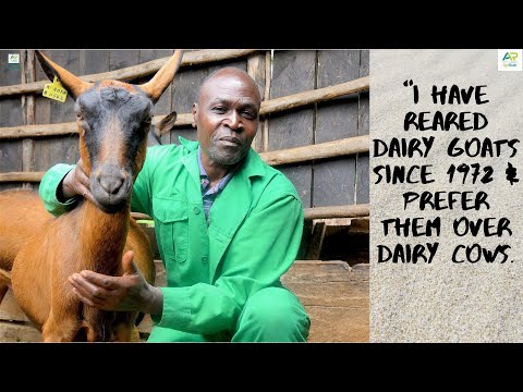 , title : 'I enjoy dairy goat farming, the nutrient dense milk sells at a premium & their feeds are affordable.'
