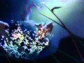 Bambi Love Song Marythedark1