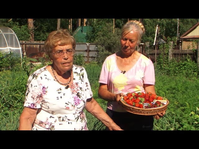 Академия на грядках от 19 июля 2017