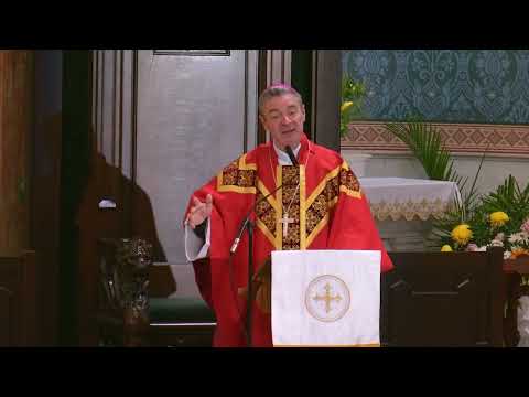 Homilies in Your Home: Matthew 9:1-8