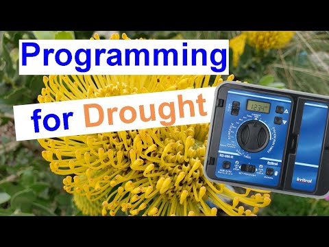 How to set your sprinkler timer for water conservation