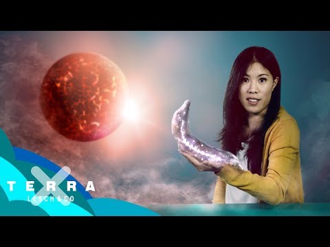 Entstand so das Leben? Die RNA-Welt | Mai Thi Nguyen-Kim