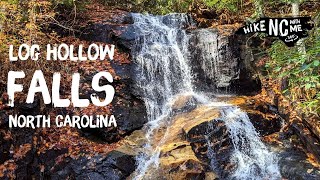 💦 Log Hollow Falls (1 Trail, 4 Waterfalls) Brevard, NC