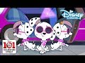 101 Dalmatian Street | Diva Puppies | Disney Channel NL