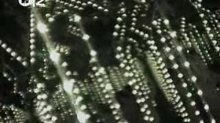 Múm, Ballad OF Broken Birdie (ruxpin remix II)