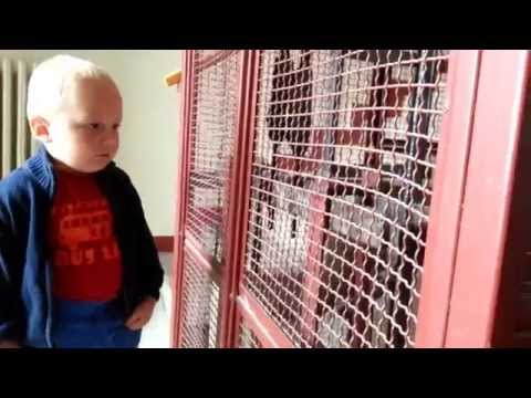 Thor volá výťah... doslovne :-) (video)