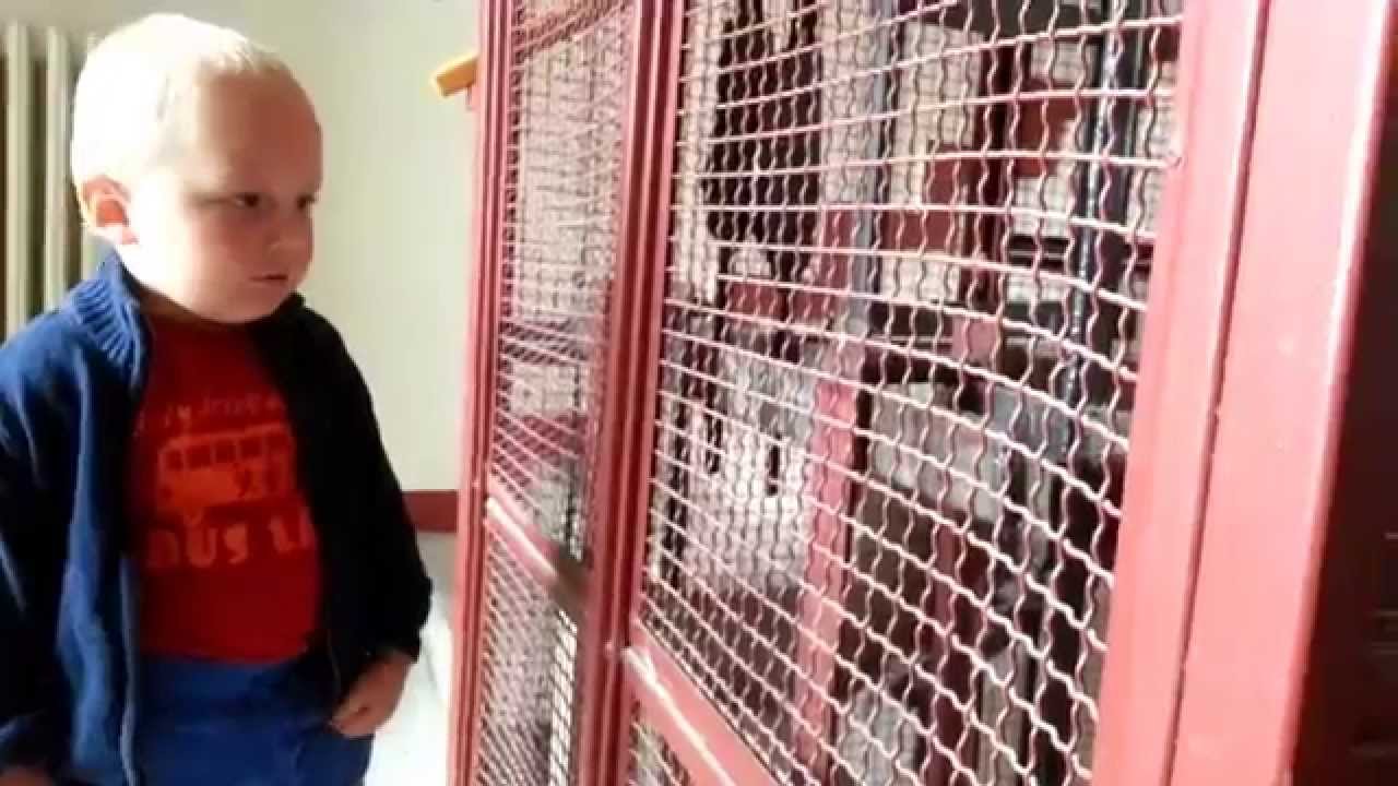 Thor volá výťah... doslovne :-) (video)