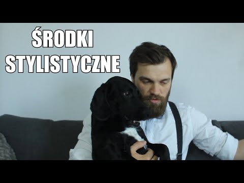 Środki stylistyczne, które mogą ci się przydać na maturze, ale może być też tak, że okażą się zbędne