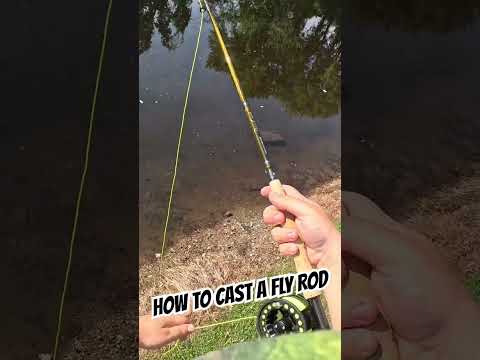 How To Cast A Fly Rod