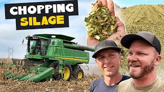 Chopping Silage, Picking Corn, and Fighting Mud?