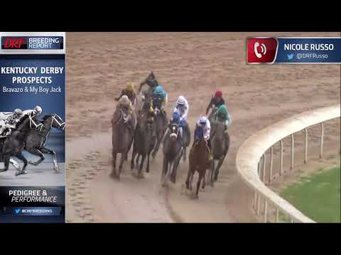 DRF Breeding Report - Kentucky Derby Prospects – Bravazo and My Boy Jack