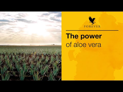 The Power of Aloe Vera |  Forever Living UK & Ireland