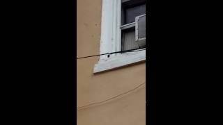 AHHH! THEY FILLING UP THE HOLE!