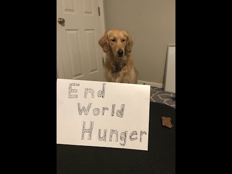 Dog chooses death…