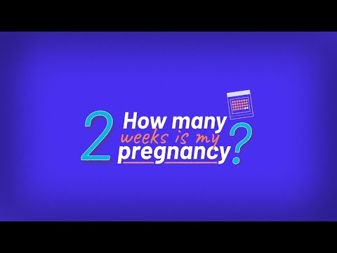 Self-Managed Abortion: How Many Weeks Pregnant Am I? | Episode 2