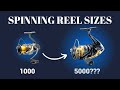 Explaining SPINNING REEL Sizes 1000 2500 5000