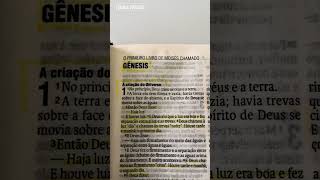 GÊNESES 1 1:5 #biblia #fe #shorts #feedshorts