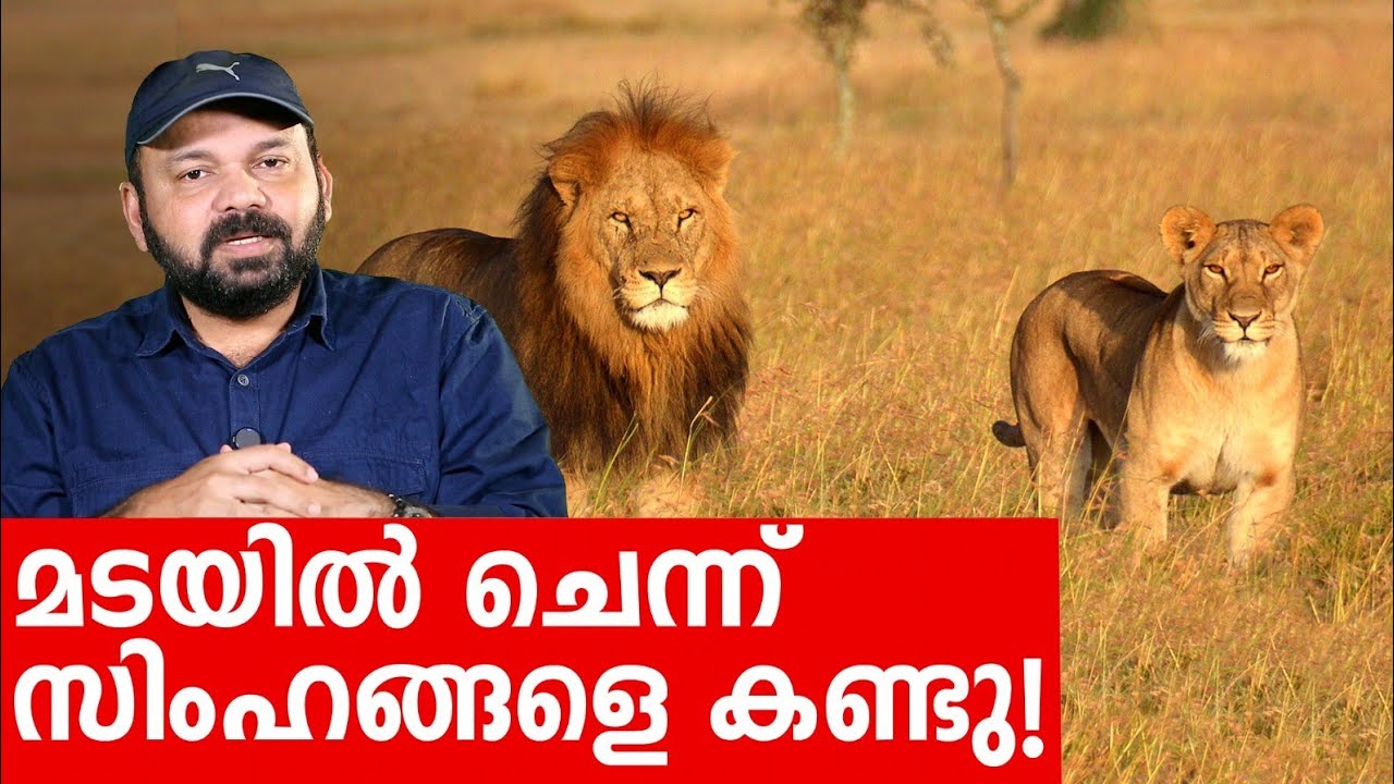 Sancharam | Tanzania - 10 | Santhosh George Kulangara | Safari TV