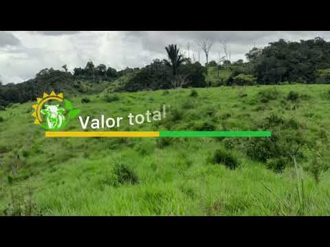 Fazenda de 43 Alqueires / Com 20 de Capim  Medicilandia  - Pará