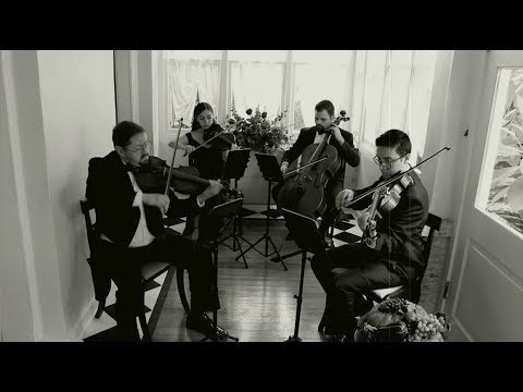 Promotional video thumbnail 3 for Viol Consort String Quartet