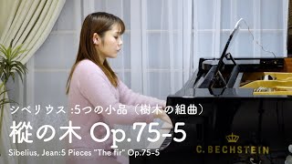 Download lagu シベリウス:5つの小品(樹木の組曲)樅の木 Op.75-5Sibelius, Jean:5 Pieces 'The fir' Op.75-5 mp3 Download lagu シベリウス:5つの小品(樹木の組曲)樅の木 Op.75-5Sibelius, Jean:5 Pieces 'The fir' Op.75-5 mp3