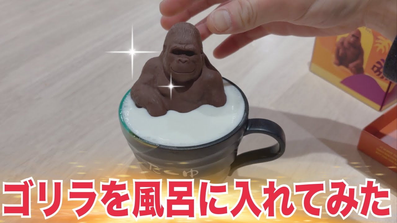 ゴリラ(チョコ)を風呂に入れてみた。【成仏Ⅸ】