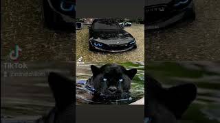 AutoLux, BMW, Paris, Panther Power