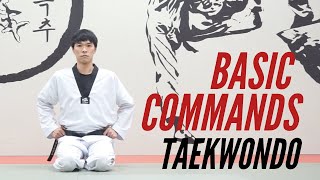 Taekwondo Basic Commands