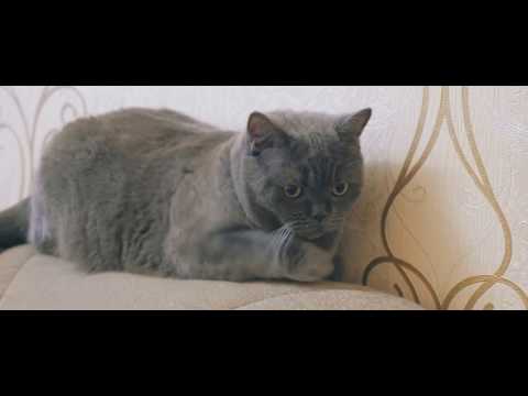 Wedding 17 02 2017 1