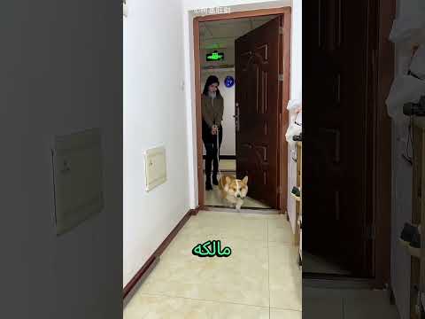 صديقة لطيفة وسعد المالك كثيرا