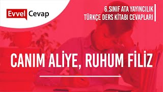 Canım Aliye, Ruhum Filiz Metni Cevapları