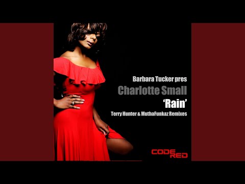 Rain (Terry Hunter Rainy Daze Remix)