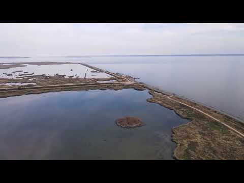 #144  Hart-Miller Island diked area in Oct 2021