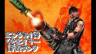 【APEX】たまにやるとおもしろい