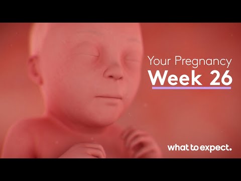 Mother-Baby developments this week (week 26)