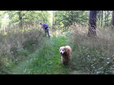 Von schwangeren Jungfern und Stiefmüttern