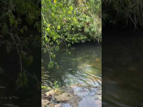 CACHOEIRA DO CICLISTA NA ZONA RURAL ENTRE ARACATUBA E BILAC/SP